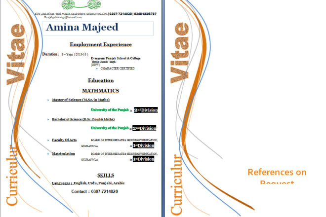 I will make your professional CV with outstanding look