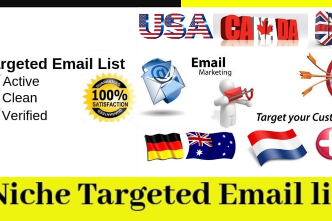 I will niche targeted email list building service
