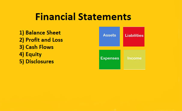 I will prepare financial statements for you