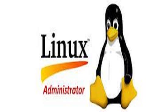 I will provide expertise in database, linux administrator