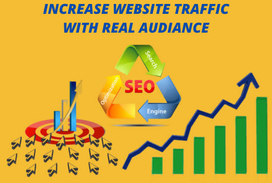 I will provide organic website traffic