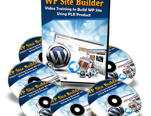 I will teach you how to build your professional wordpress website