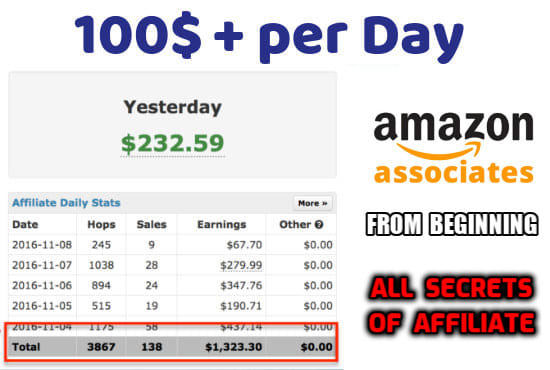 I will teach you how to earn 100usd daily from affiliate marketing