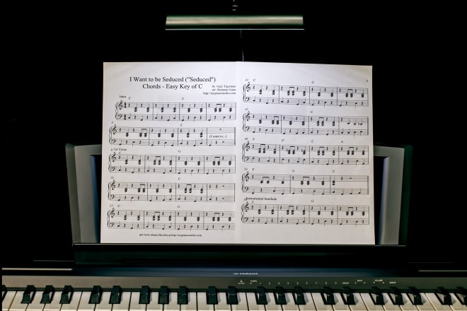 I will transcribe any instrument into midi file or sheet music