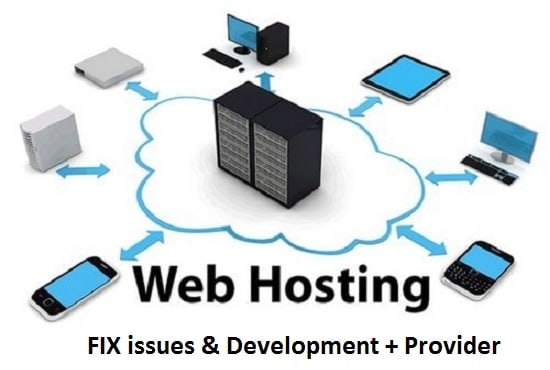 I will transfer, develop, fix, server host, webdesign and domain