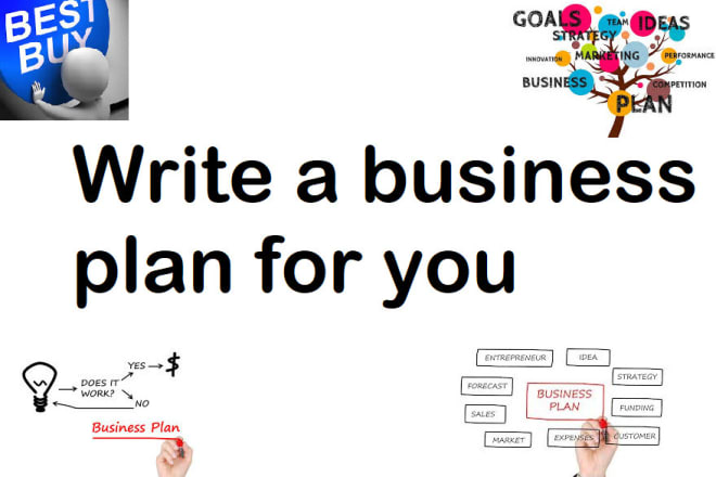 I will write a professional business plan for you