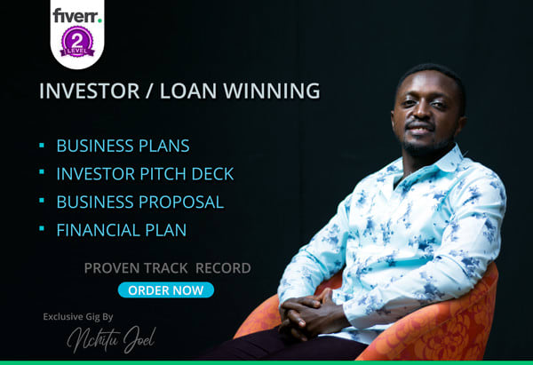 I will write an investor or loan winning business plan