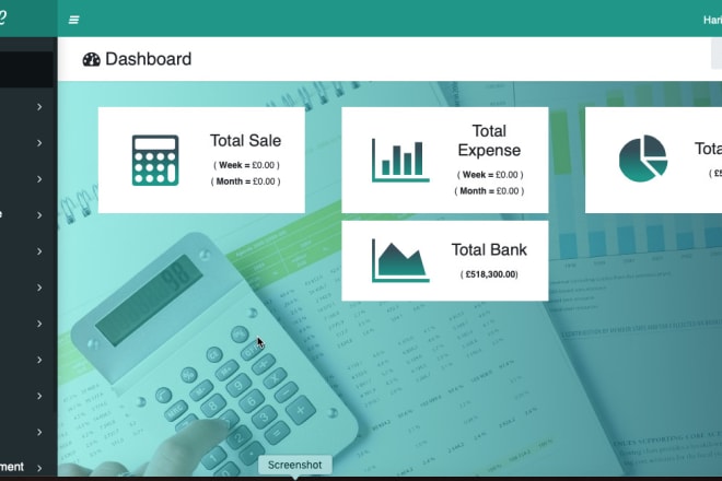 I will accounting system for your business