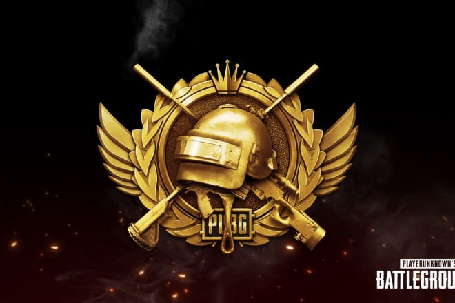 I will be ur pubg mobile coach and push rank till conqueror or ace