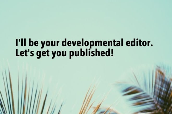 I will be your developmental book editor