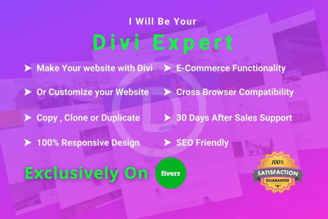 I will be your divi expert for your wordpress website