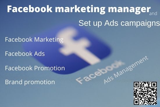 I will be your facebook marketing manager and set up ads campaigns