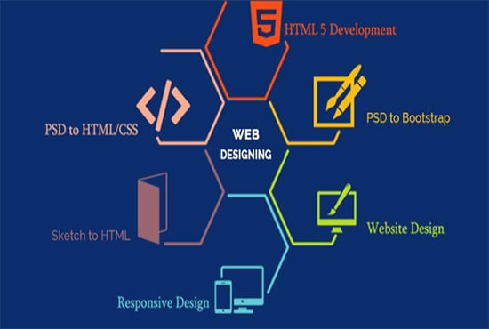 I will be your front end developer, free work PSD to HTML,CSS