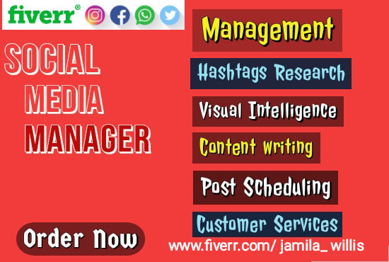 I will be your social media manager and marketing strategy creator