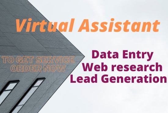 I will be your virtual assistant for excel data entry typing work and web research