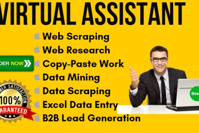 I will be your virtual personal assistant, data collection and copy paste jobs