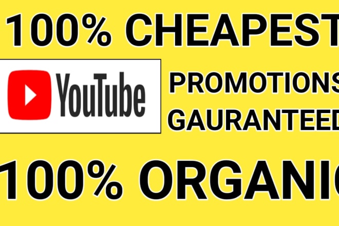 I will be your youtube channel growth maker and video promoter with organic audience