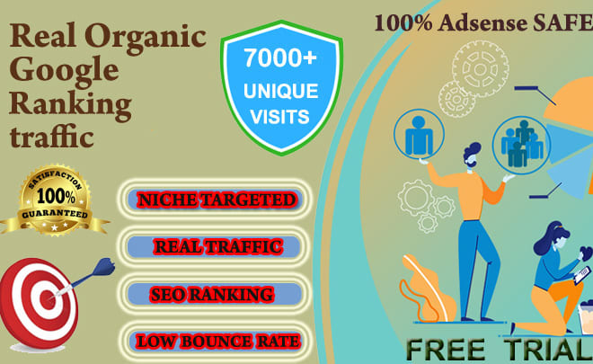 I will bring real visitors,organic targeted web traffic