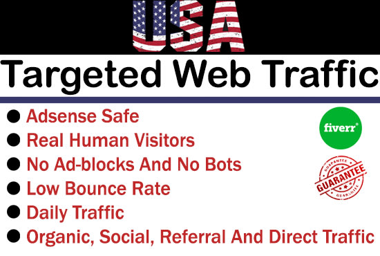 I will bring USA targeted 1000 daily visitors to your website