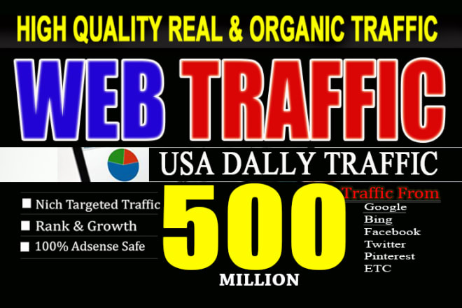 I will bring USA targeted real social web traffic