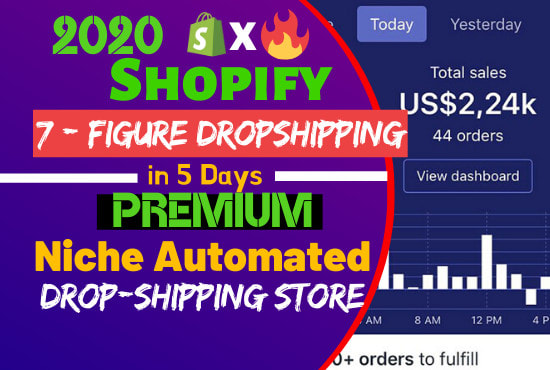 I will build 7 figure niche automated shopify dropshipping website