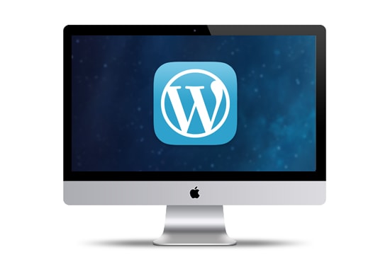 I will build a wordpress website or a blog