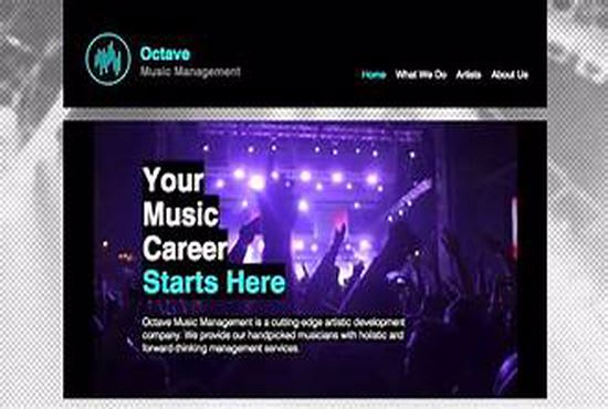 I will build music website for music producer, dj, artists, band or studio