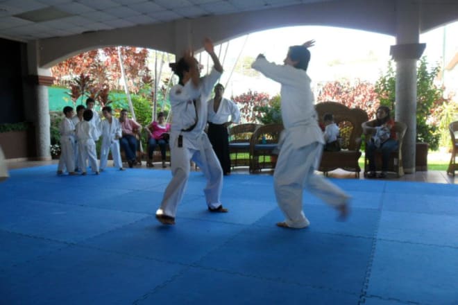I will coach you in martial arts karate, aikido
