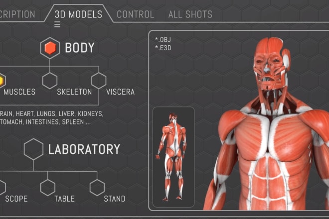 I will create 3d human anatomy all body parts for you