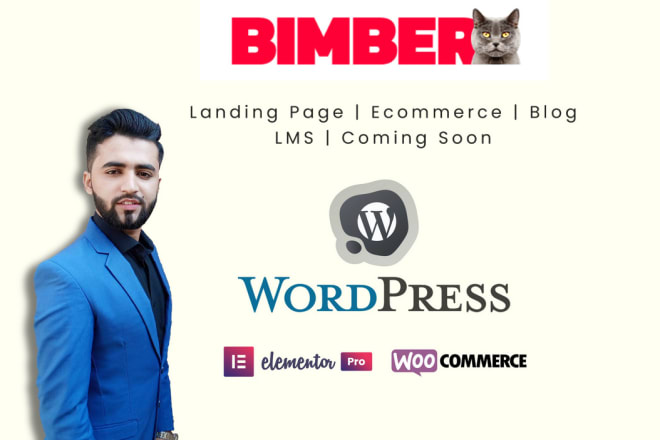 I will create a responsive business wordpress website and blog, bimber blog