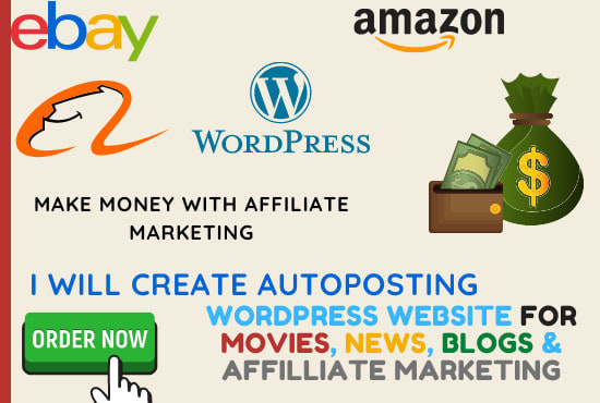 I will create an autopilot wordpress website for online earning