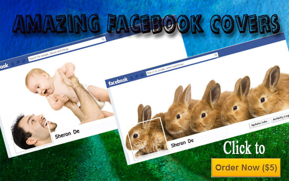 I will create an Elegant, Business and Professional FB Timeline Cover in 48hrs
