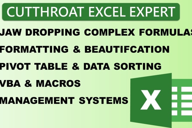 I will create excel dashboard, pivot table, macros and much more