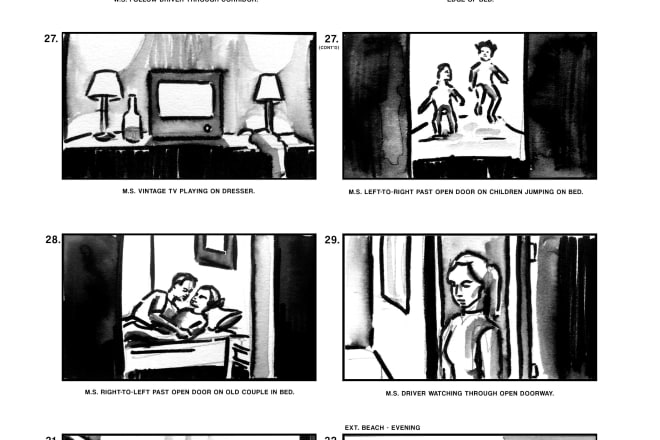 I will create hand drawn ink storyboards