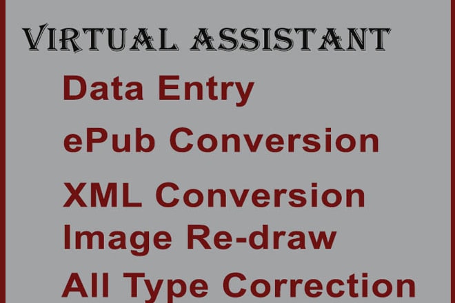 I will data entry and virtual assistant