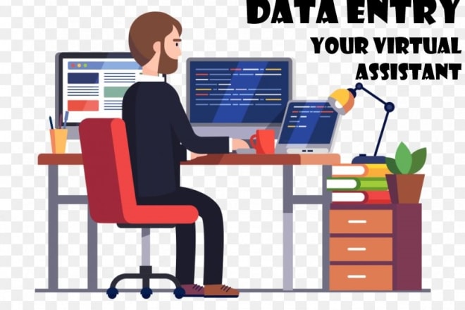 I will data entry, web research and data cleansing