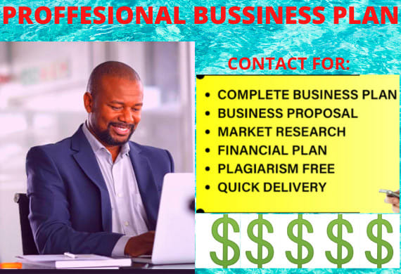 I will deal with all professional business plan related write ups