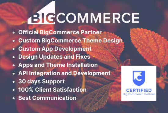 I will design, develop, customize theme or migrate bigcommerce store