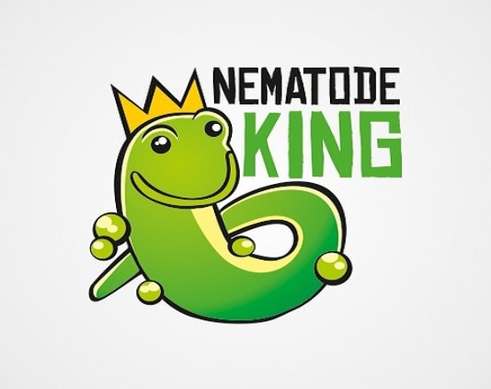 I will design nematode king logo in 1 day