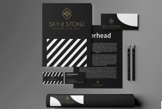 I will design your brand identity or branding package, brand kit and brand logo design