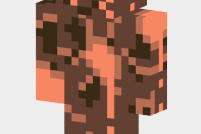 I will design your very own custom and unique minecraft skin