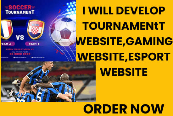 I will develop tournament website,gaming website,esport website