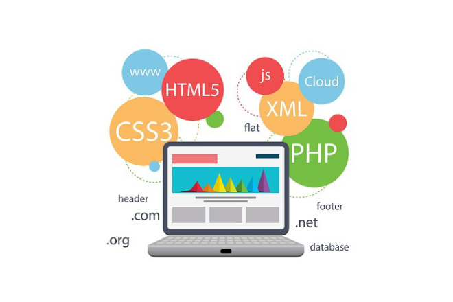 I will develop web based responsive application for any platform