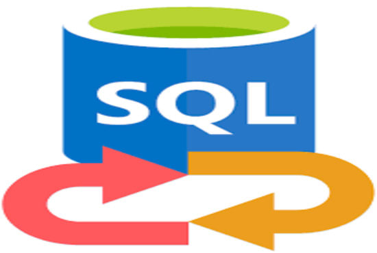 I will do 20 hours of sql development services