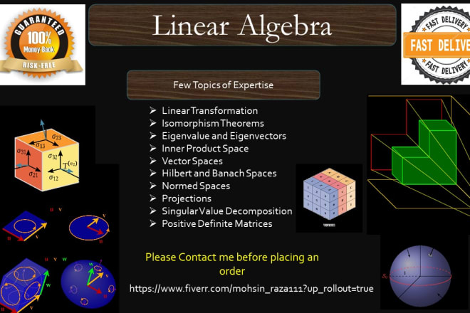 I will do and assist you with advance linear algebra and calculus