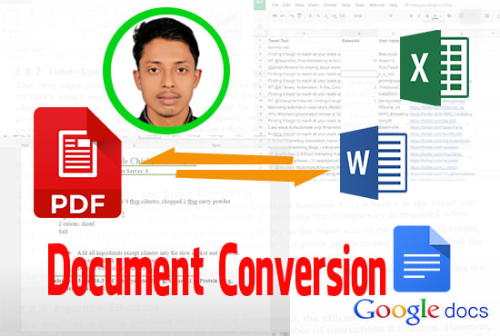 I will do convert your PDF to word, google doc, excel