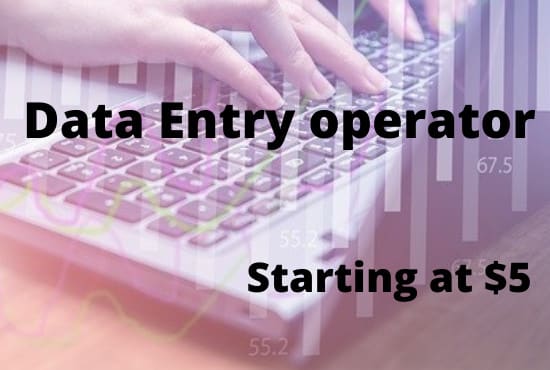 I will do data entry and copy paste job