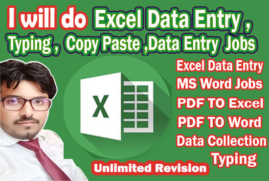 I will do excel data entry, typing, copy paste, data entry jobs