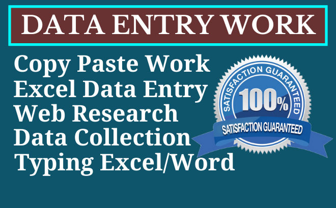 I will do excel data entry, typing, copy paste work, data entry