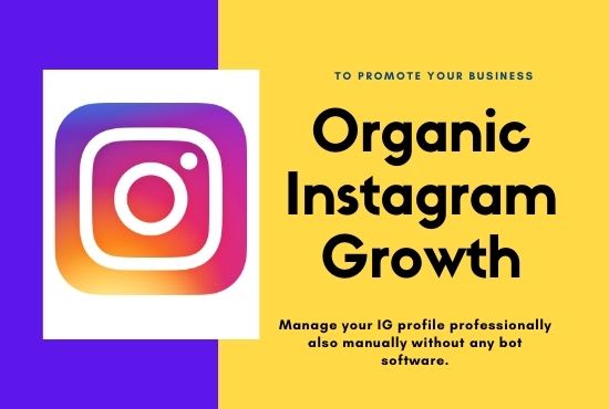 I will do fast organic instagram growth